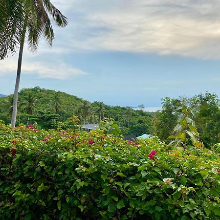 Ko Samui Seaview Pool Villa Seren With Car Laem Set Beach Luaran gambar