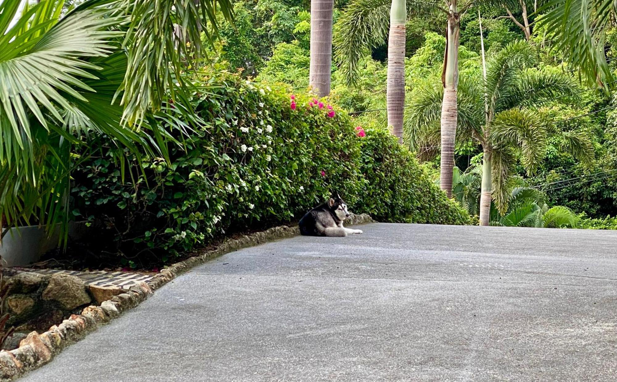 Ko Samui Seaview Pool Villa Seren With Car Laem Set Beach Luaran gambar