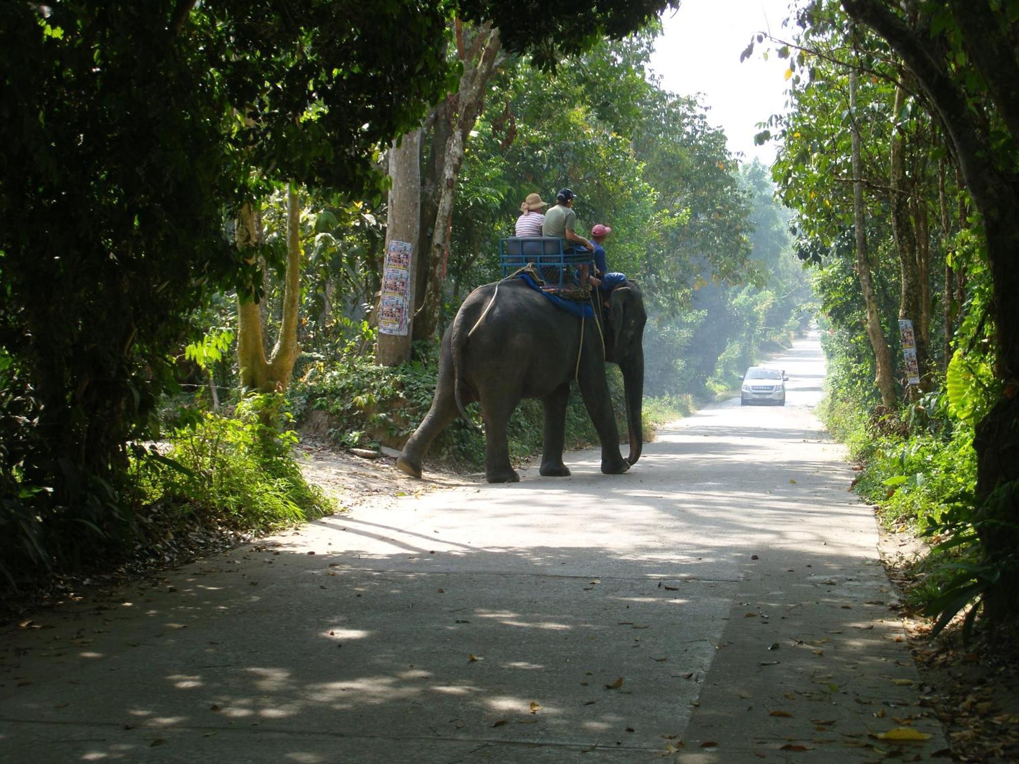 Ko Samui Seaview Pool Villa Seren With Car Laem Set Beach Luaran gambar